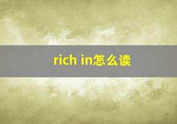 rich in怎么读